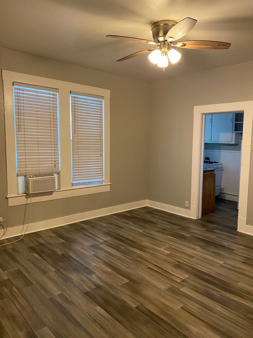 San Antonio Apartment: 527 Cedar St