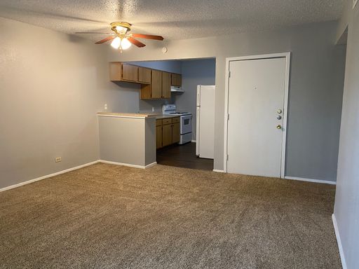 Large 1-Bedroom Off San Pedro – photo 1