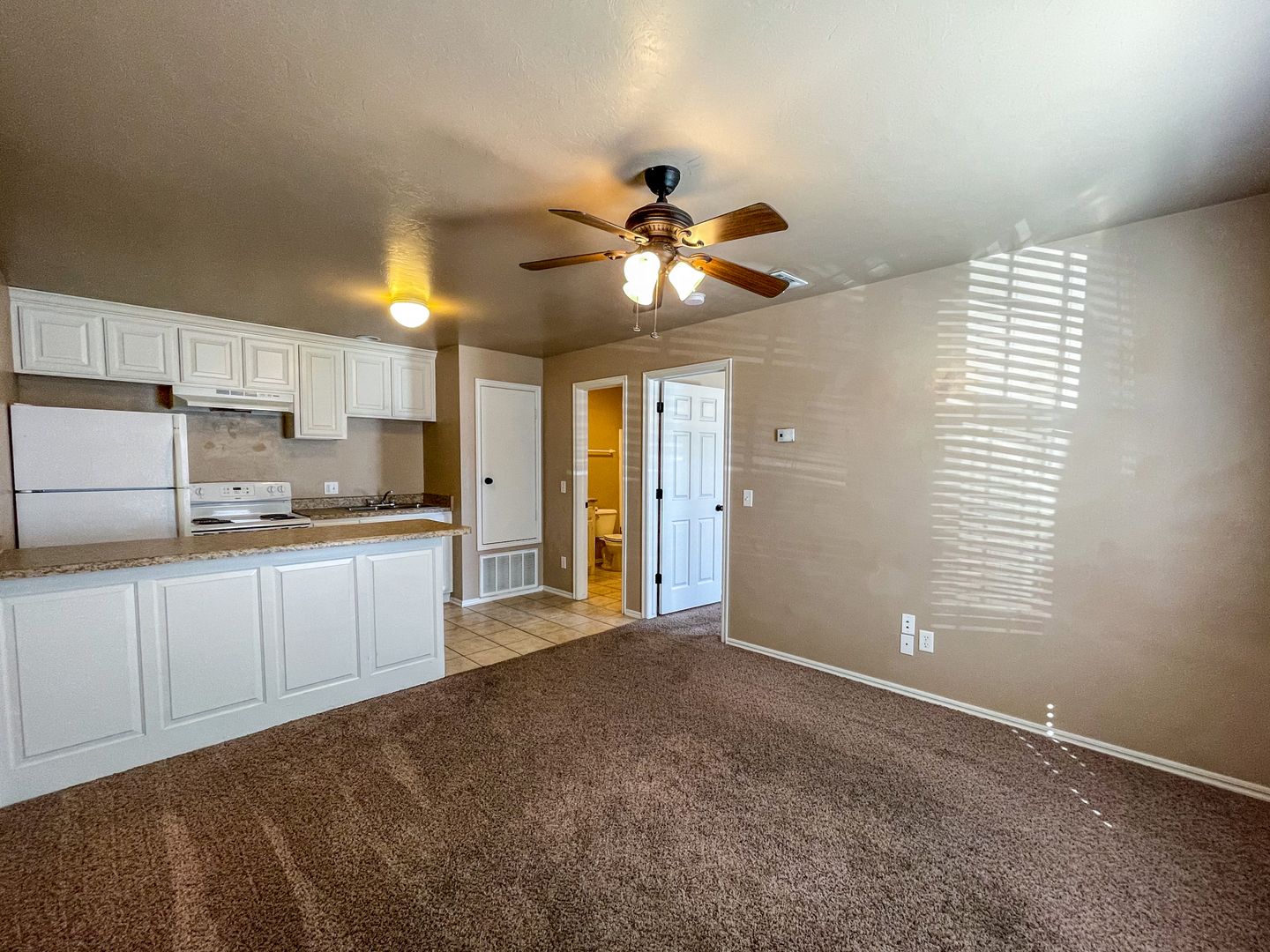 Weatherford Apartment: 117 W. Davis