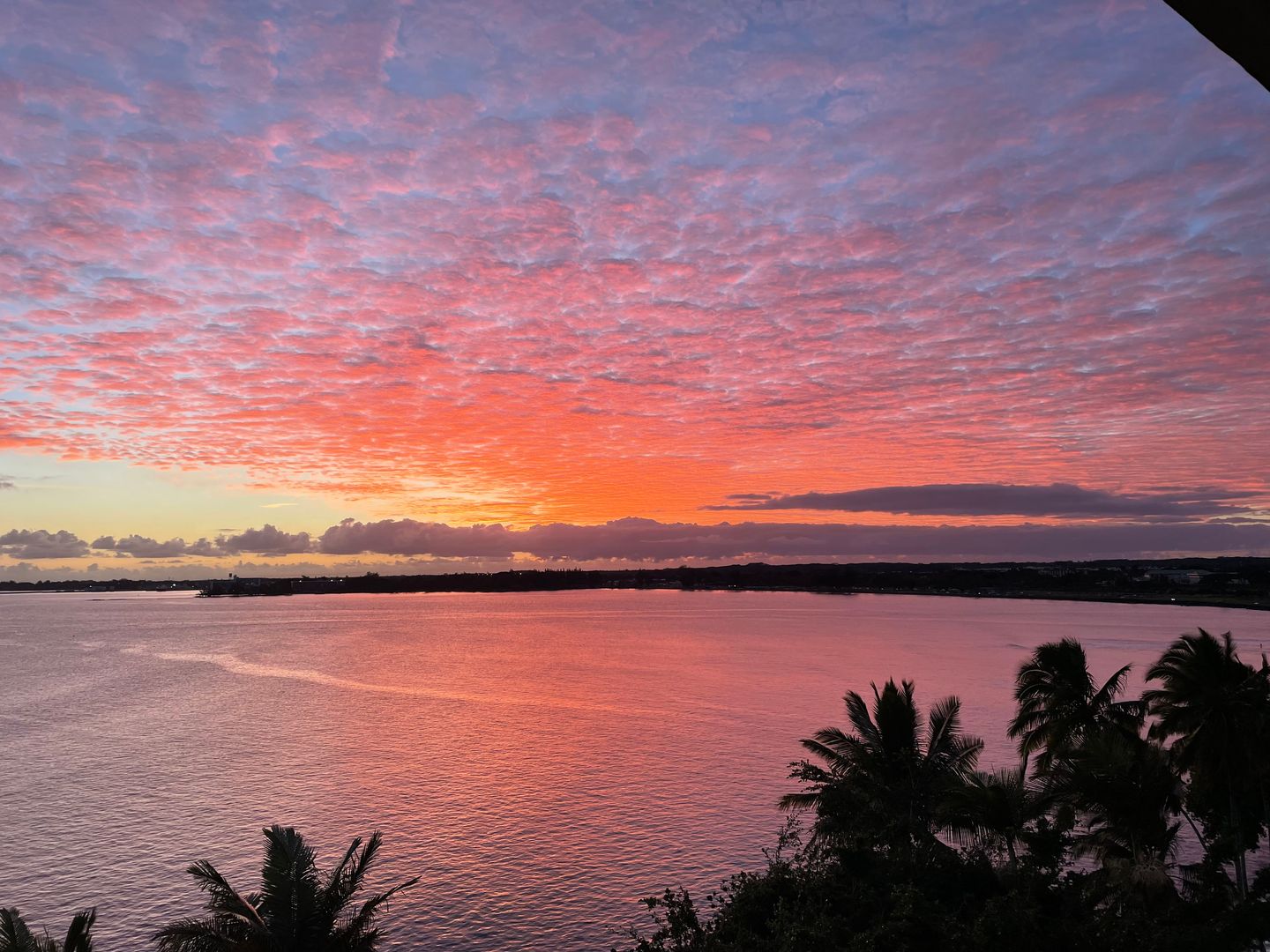 Hilo Condo: 84 Pukihae St. # 805