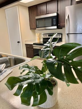 First Floor 1 bedroom – photo 1