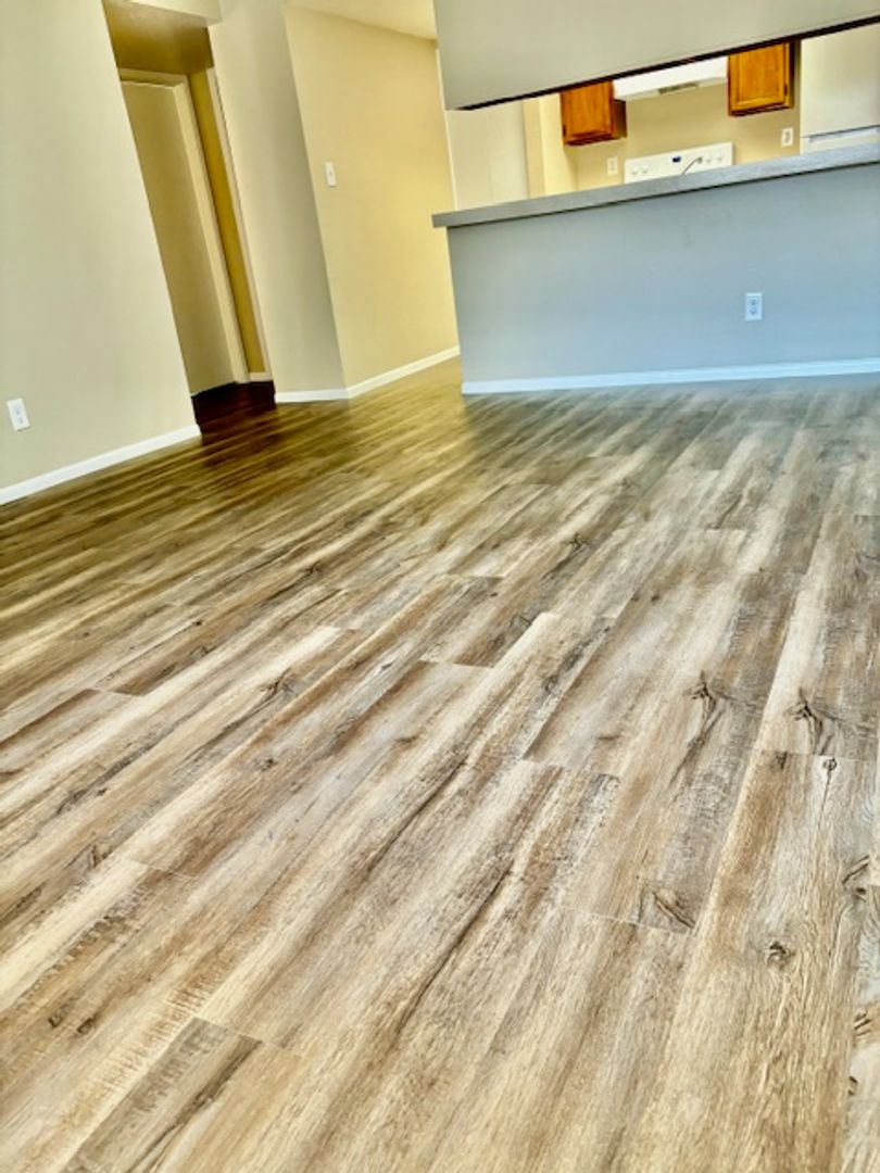 Phoenix Apartment: 1750 E Bell Rd.