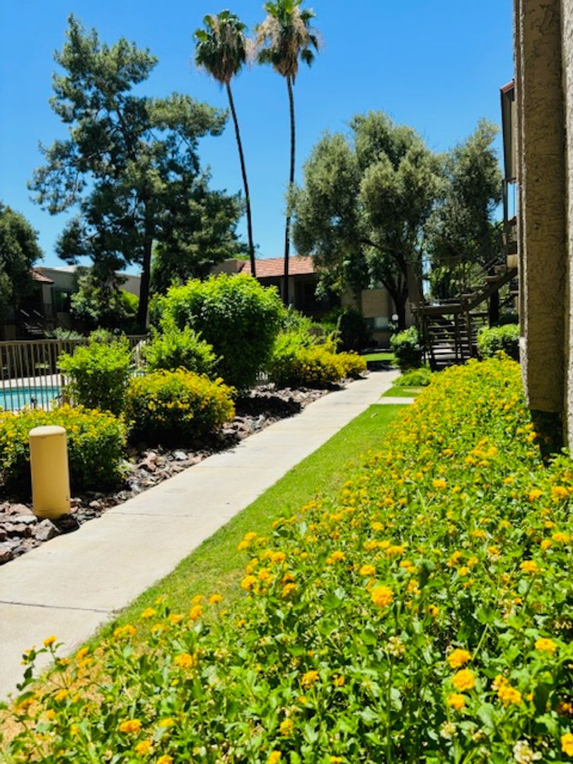 Phoenix Apartment: 1750 E Bell Rd.