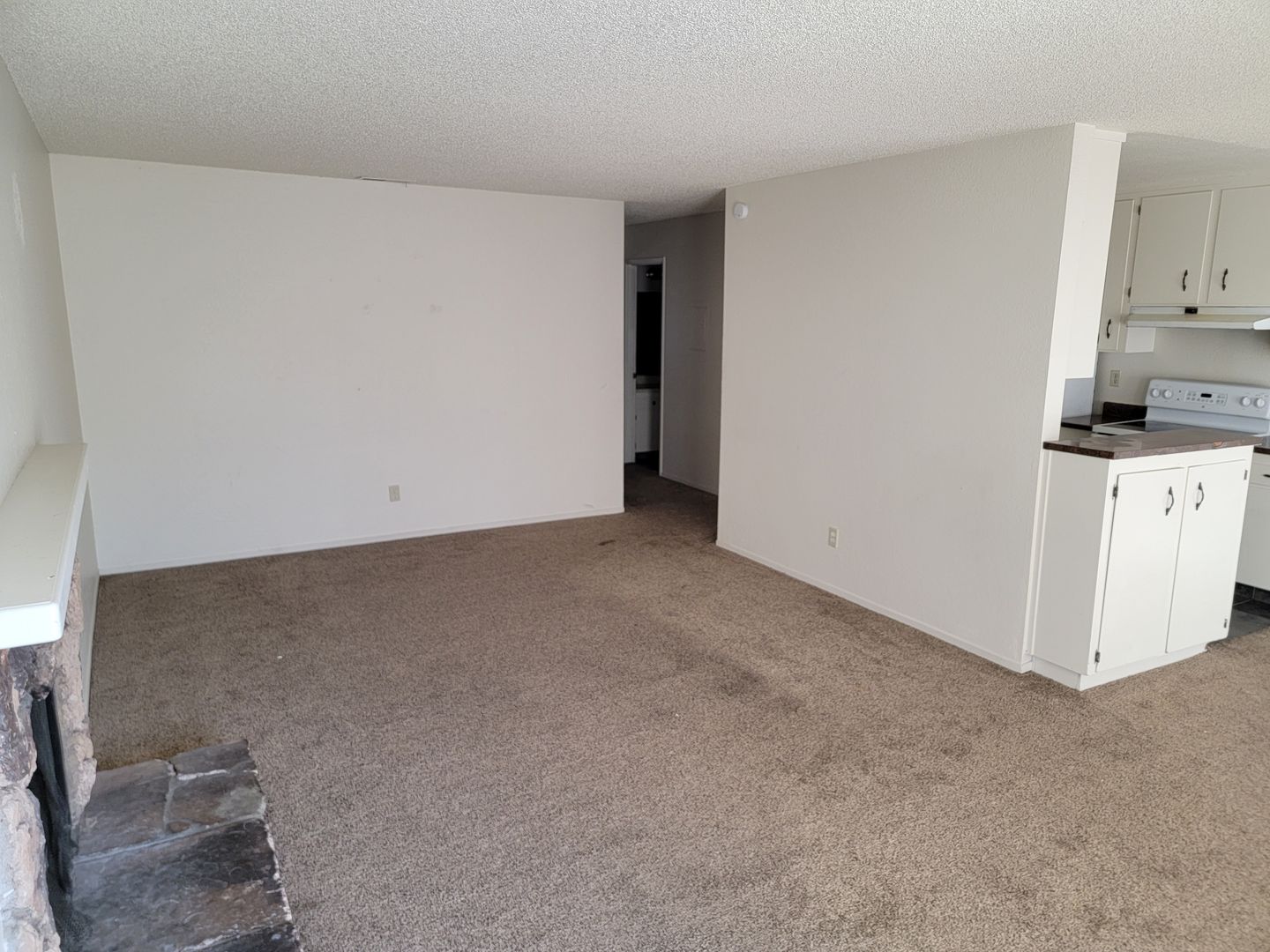 Reno Apartment: 1235 Berrum Ln