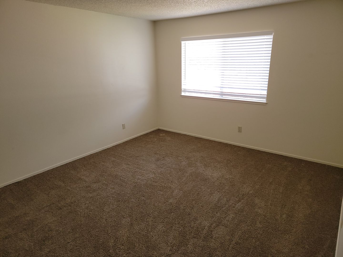 Reno Apartment: 1235 Berrum Ln