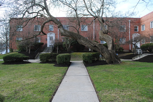 2 BD, 1 BA, Remodeled Apartment, Shared Garage and Laundry, Hardwood Floors Throughout