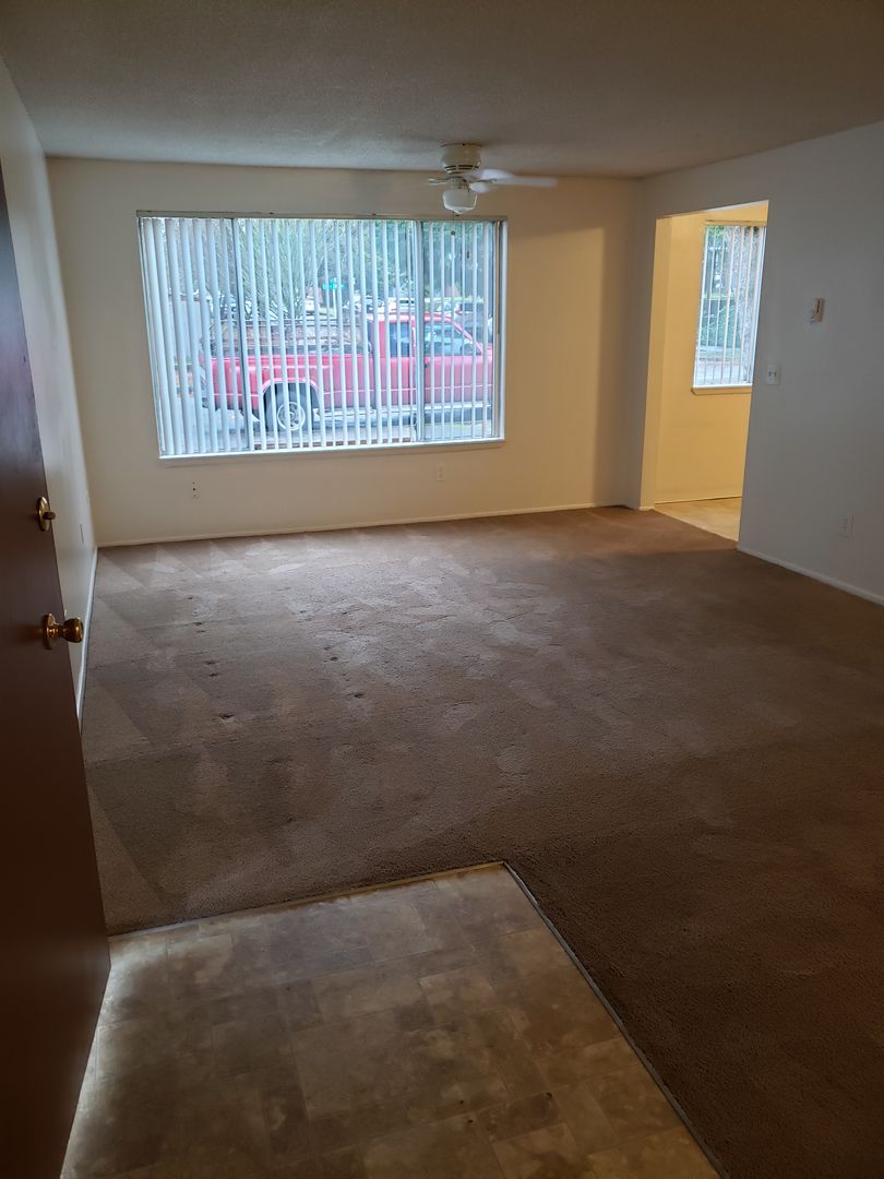 Vancouver Apartment: 715 E 19th Street