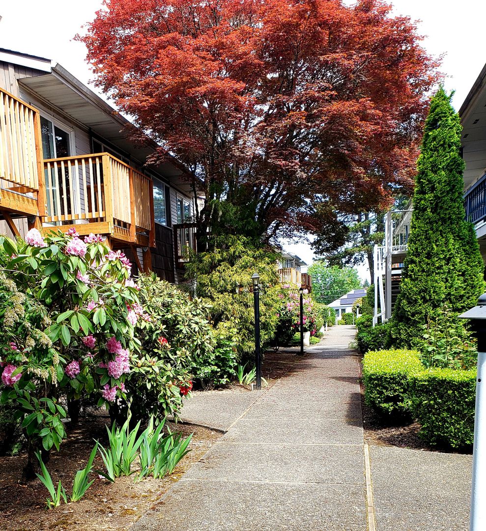 Vancouver Apartment: 1712 E Fourth Plain Blvd