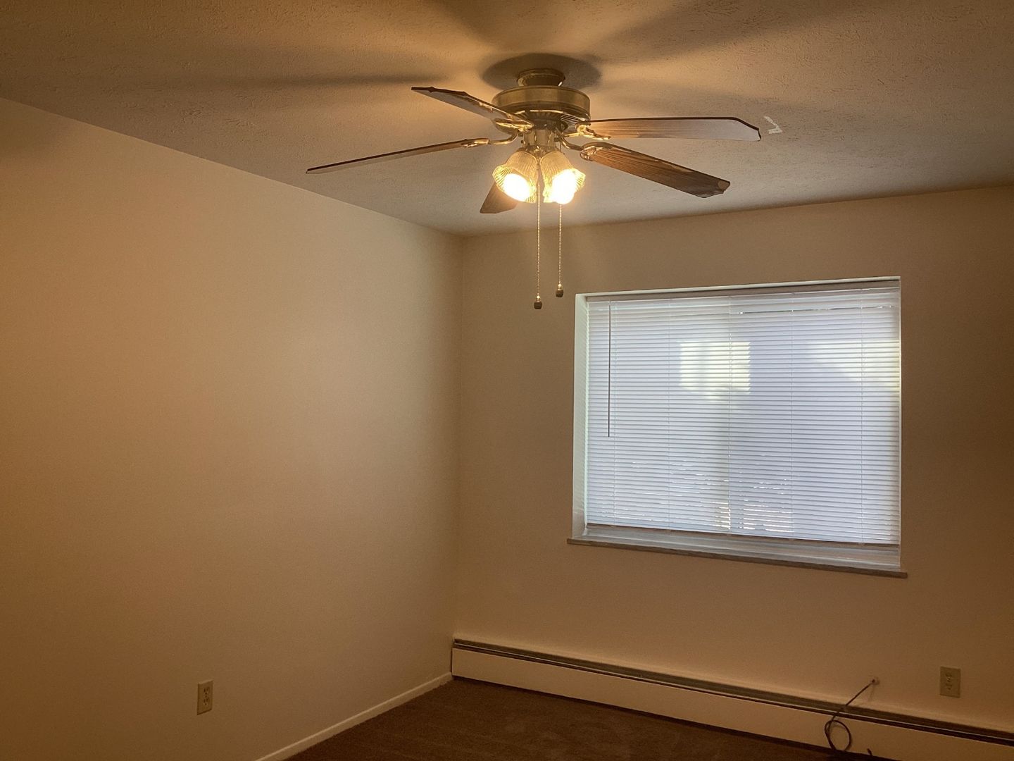 Euclid Apartment: 24130-36 Euclid Ave.