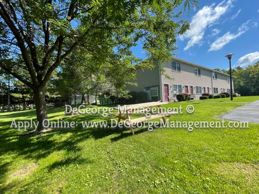 Nice Updated 1 Ground Floor Bedroom Apartment for rent in Lakeville, NY