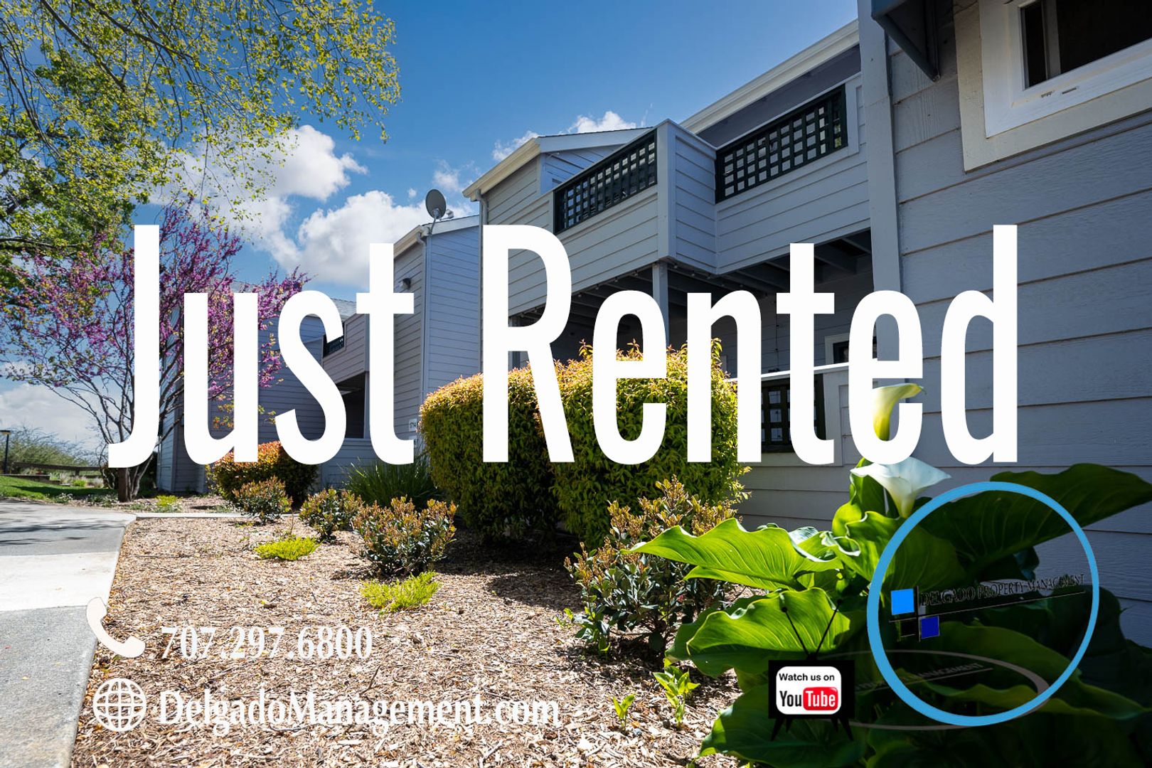 Vallejo House: 1201 Glen Cove Parkway #1715