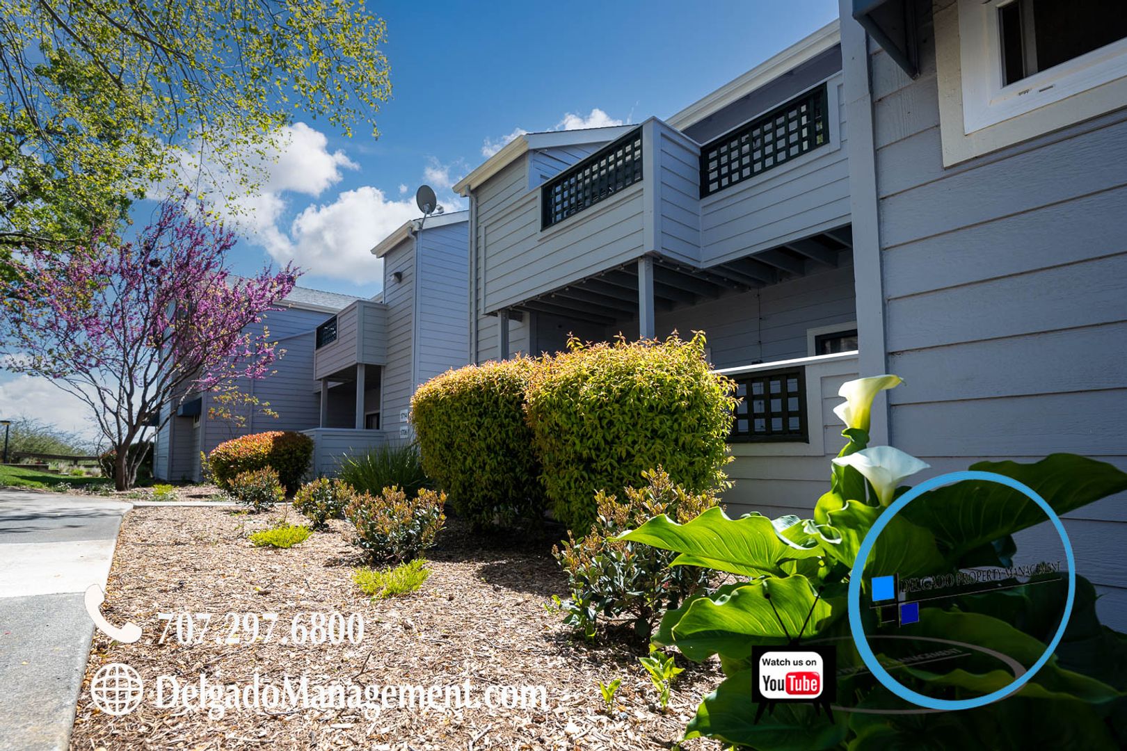 Vallejo House: 1201 Glen Cove Parkway #1715