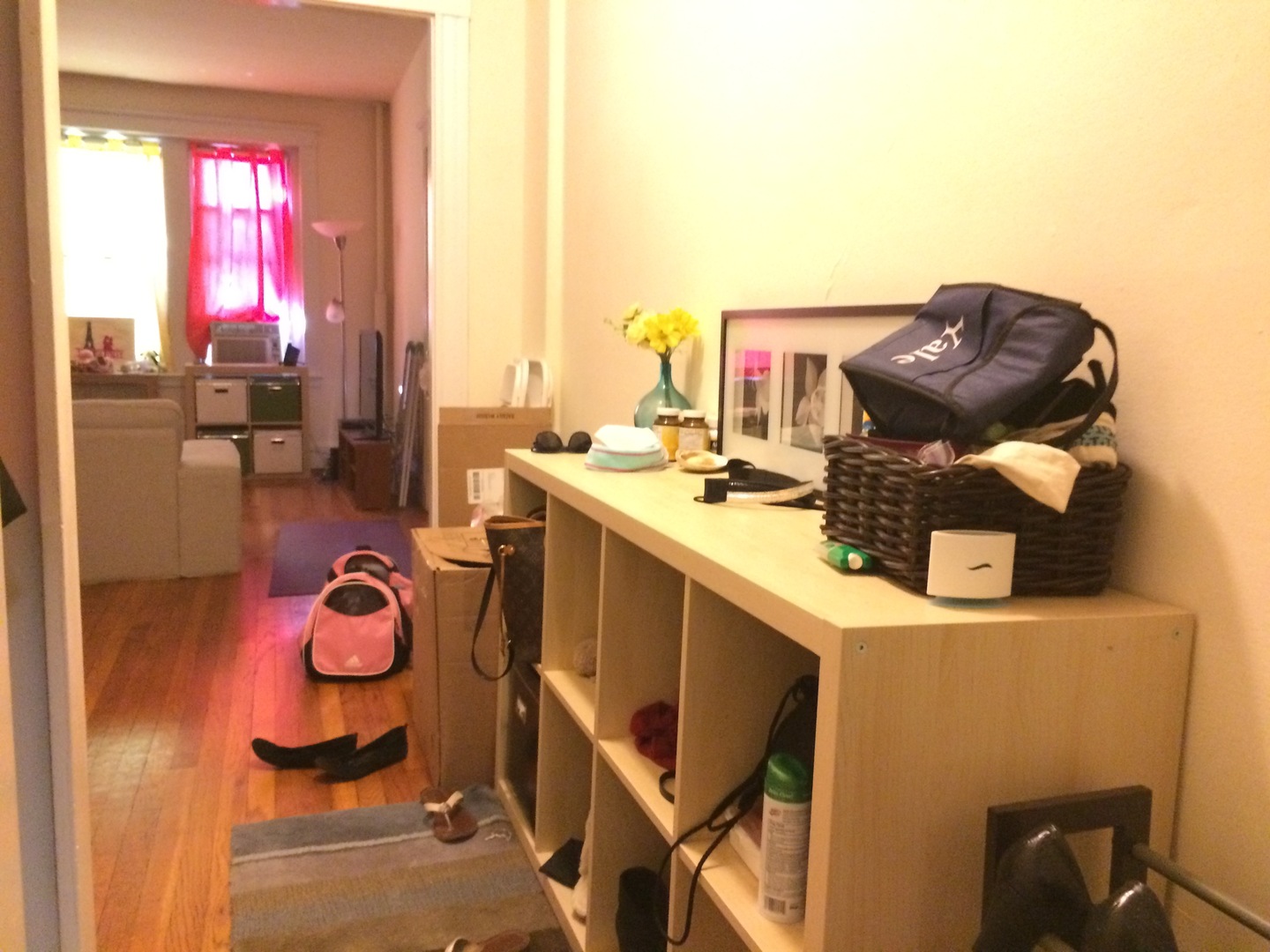 Cambridge Apartment: 1622 Massachusetts Avenue