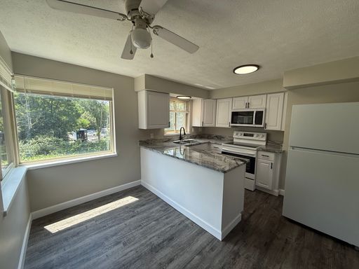 Newly Renovated 2 Bed, 1 Bath Apartment in Oakwood – photo 1