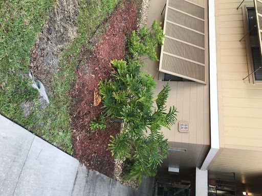 2 BR 2 BA CONDO FOR RENT