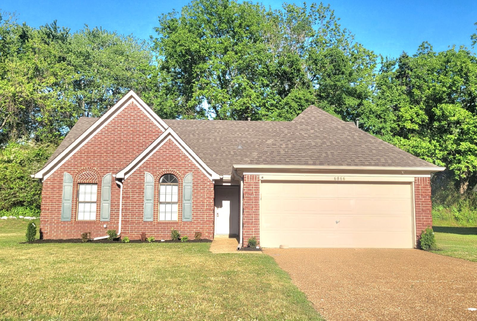 Olive Branch House: Valerie 6866