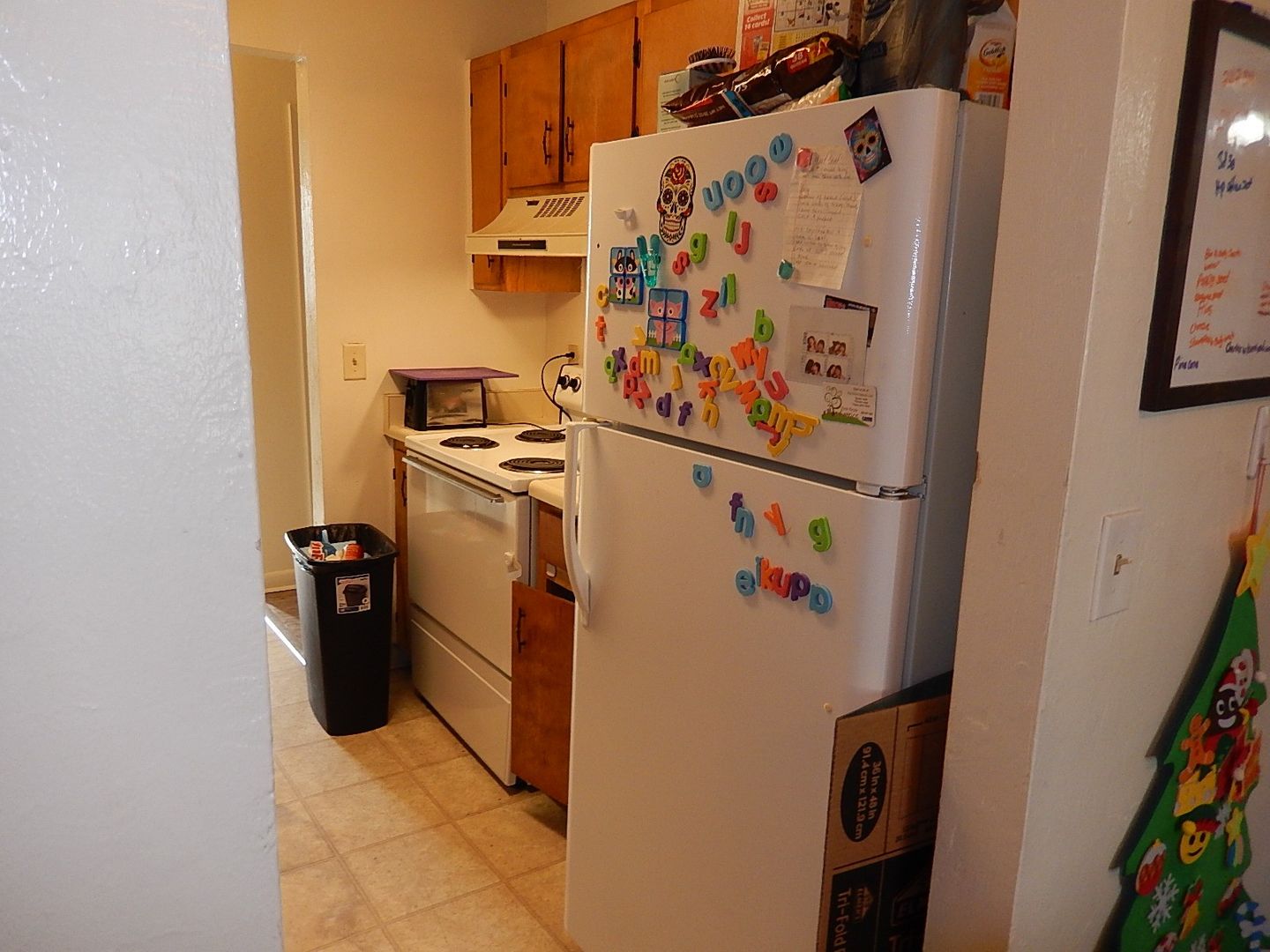 Tallahassee Apartment: 303 S. Lipona Rd