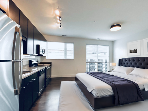 Ardmore - Studio Apartment – photo 1