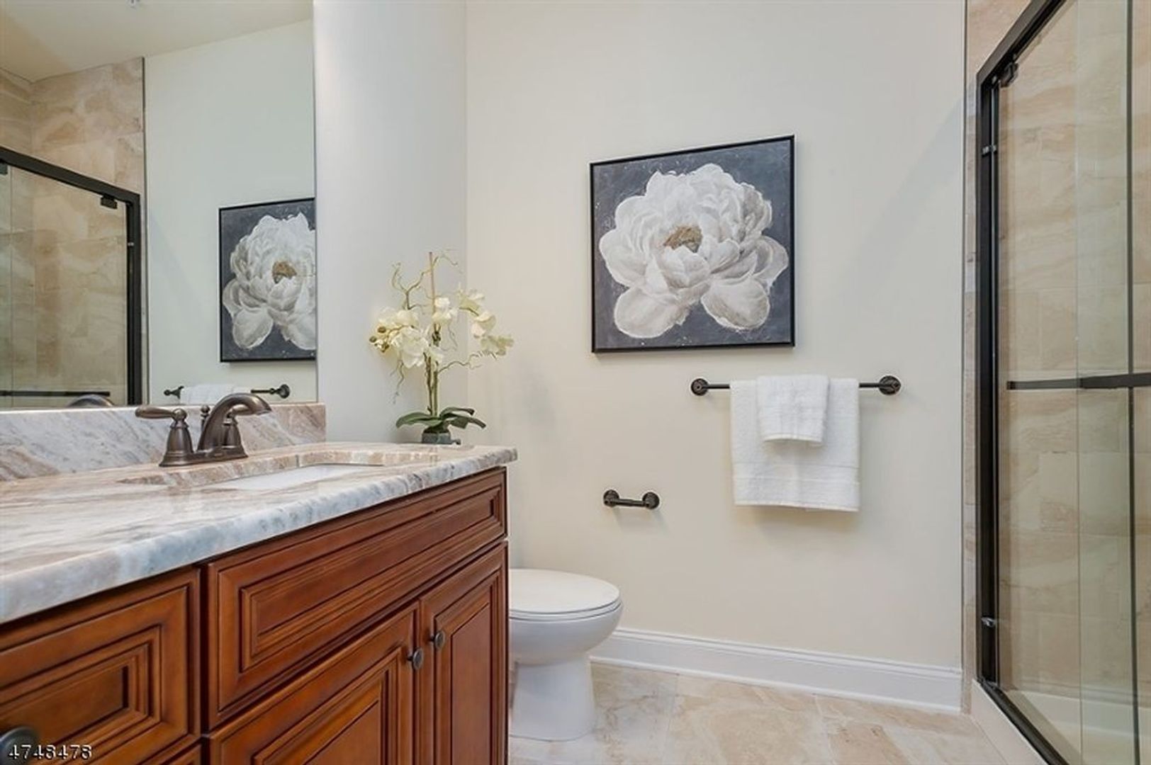 Somerville Apartment: 6 North Doughty Ave