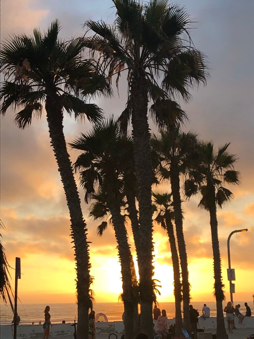 San Diego Apartment: 4728 Lamont St.