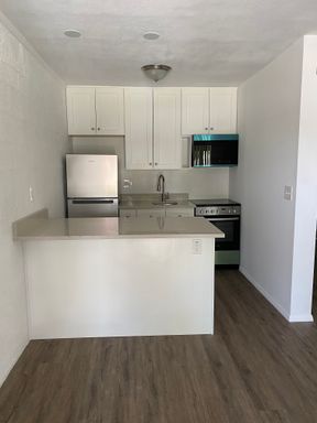 Renovated studio with washer/dryer $799.00 (limited units),plus 1 month free rent! – photo 1