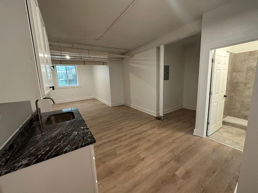 Renovated 1 Bed Apartment in Cleveland Heights – photo 1