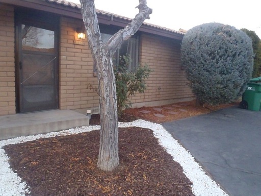 1136 H Street Sparks, NV 89431 – photo 1