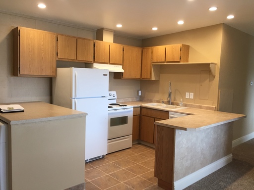 476 Sunshine Lane Reno NV 89502 – photo 1