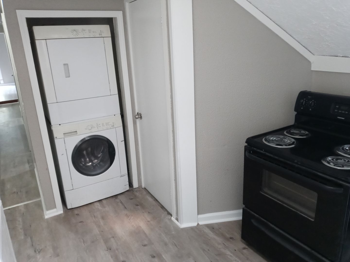 Rochester Apartment: 183 Pearl St