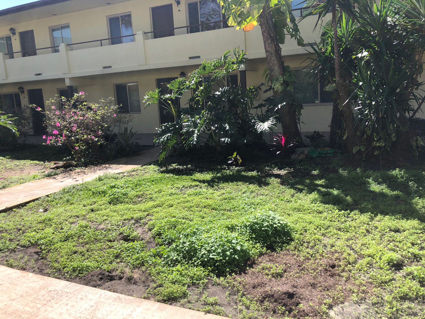 Daytona Beach Condo: 400 Oakridge Blvd