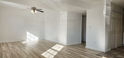 Beautifully updated 4 Bedroom/2 Bathroom downstairs apartment
