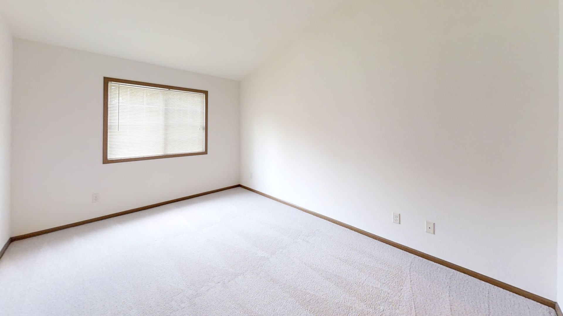 RENOVATED Condo Style Lower 2 Bedroom 2 Bathroom Apartment 8 of 11