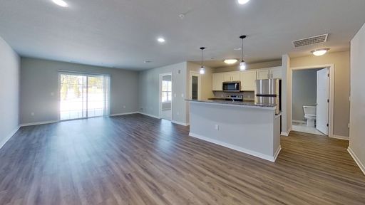 Brand New Condo Style Lower 1 Bedroom 1 Bathroom Apartment