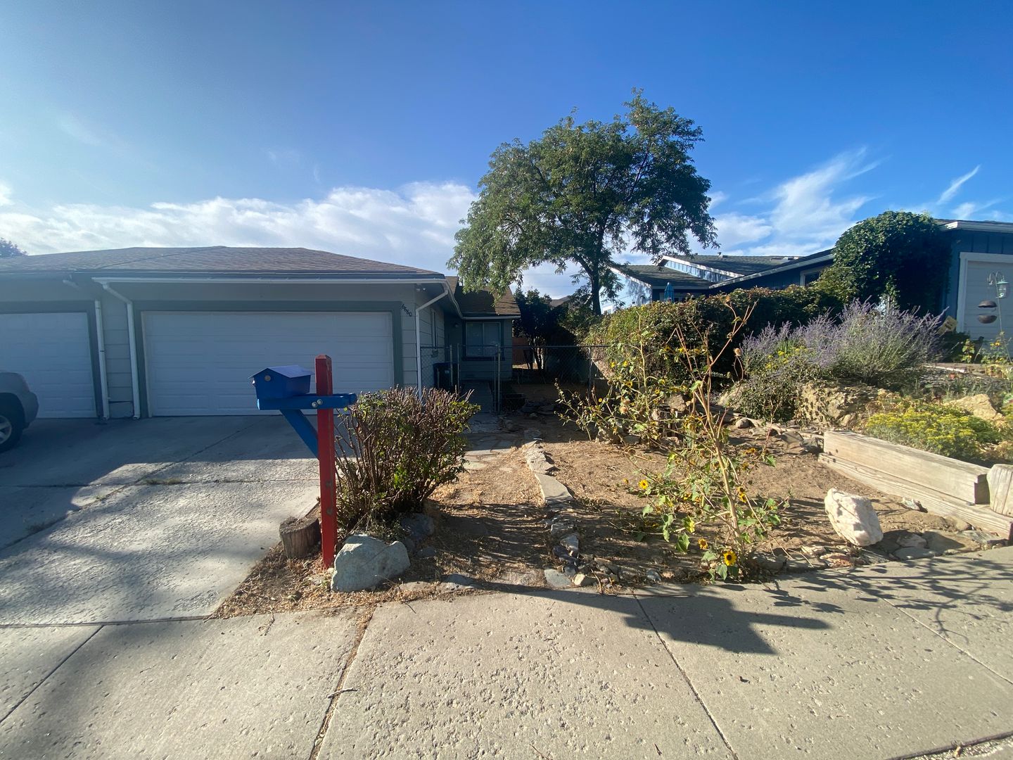 Reno House: 6660 Peppermint Dr.