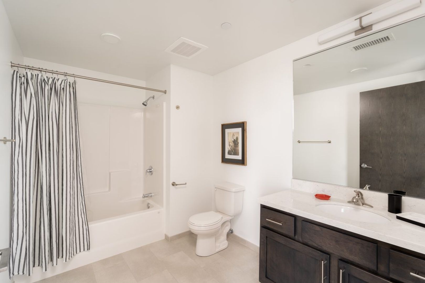 Waterloo Apartment: 335 Cedar Street