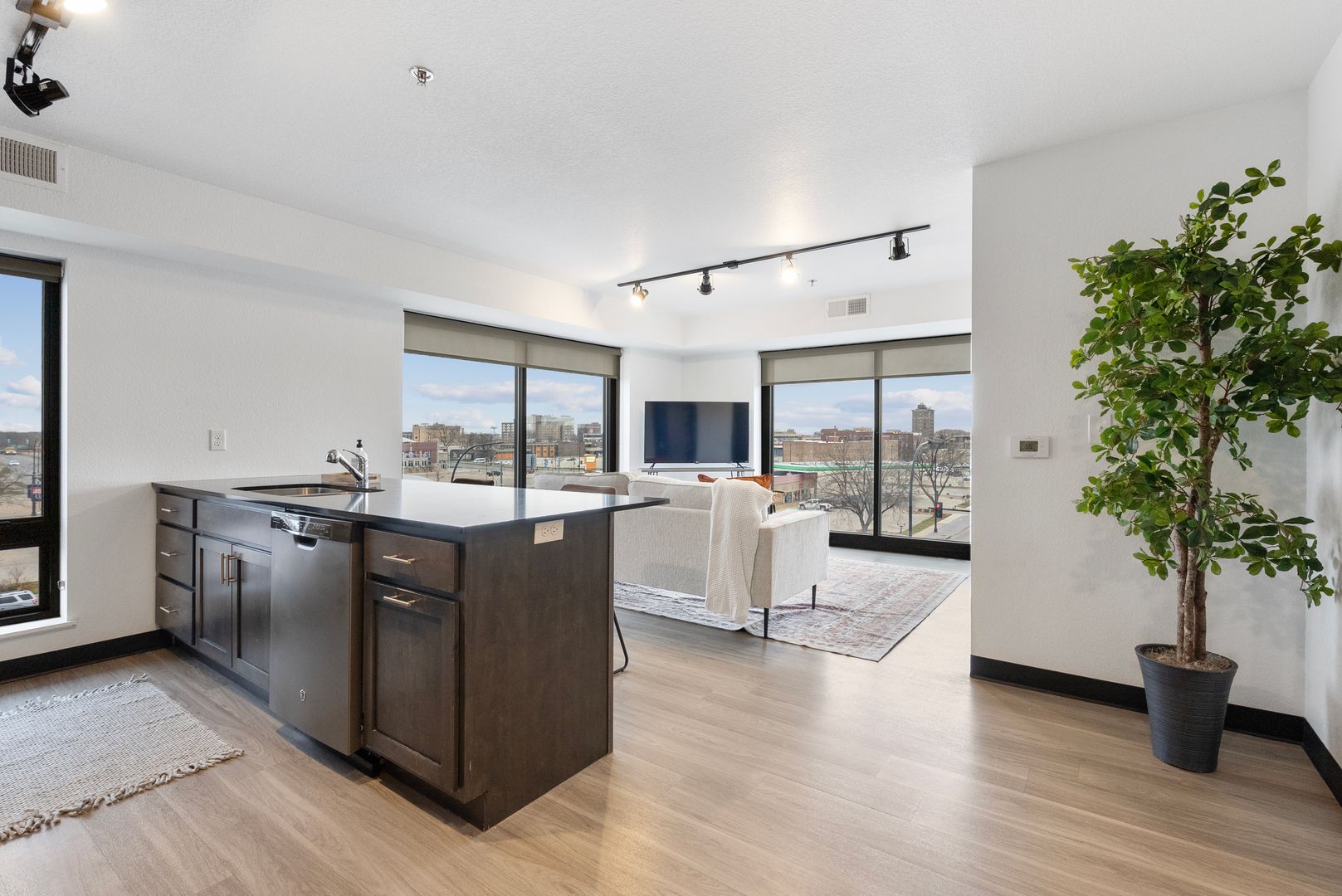 Waterloo Apartment: 21 Jefferson Street