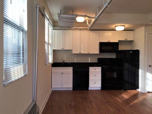 Cozy modern 1 bedroom 1 bath unit with in unit W/D - A Pet friendly Gem! – photo 1