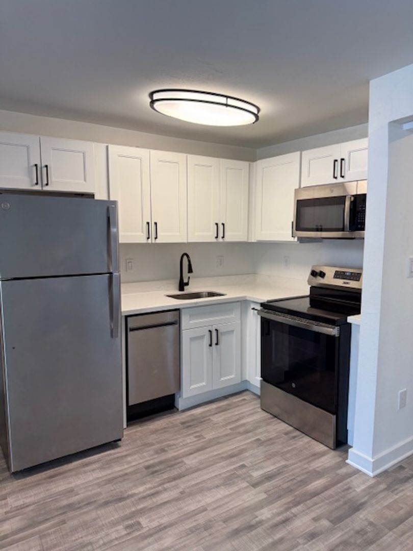 Houston Apartment: 239 Emerson St.