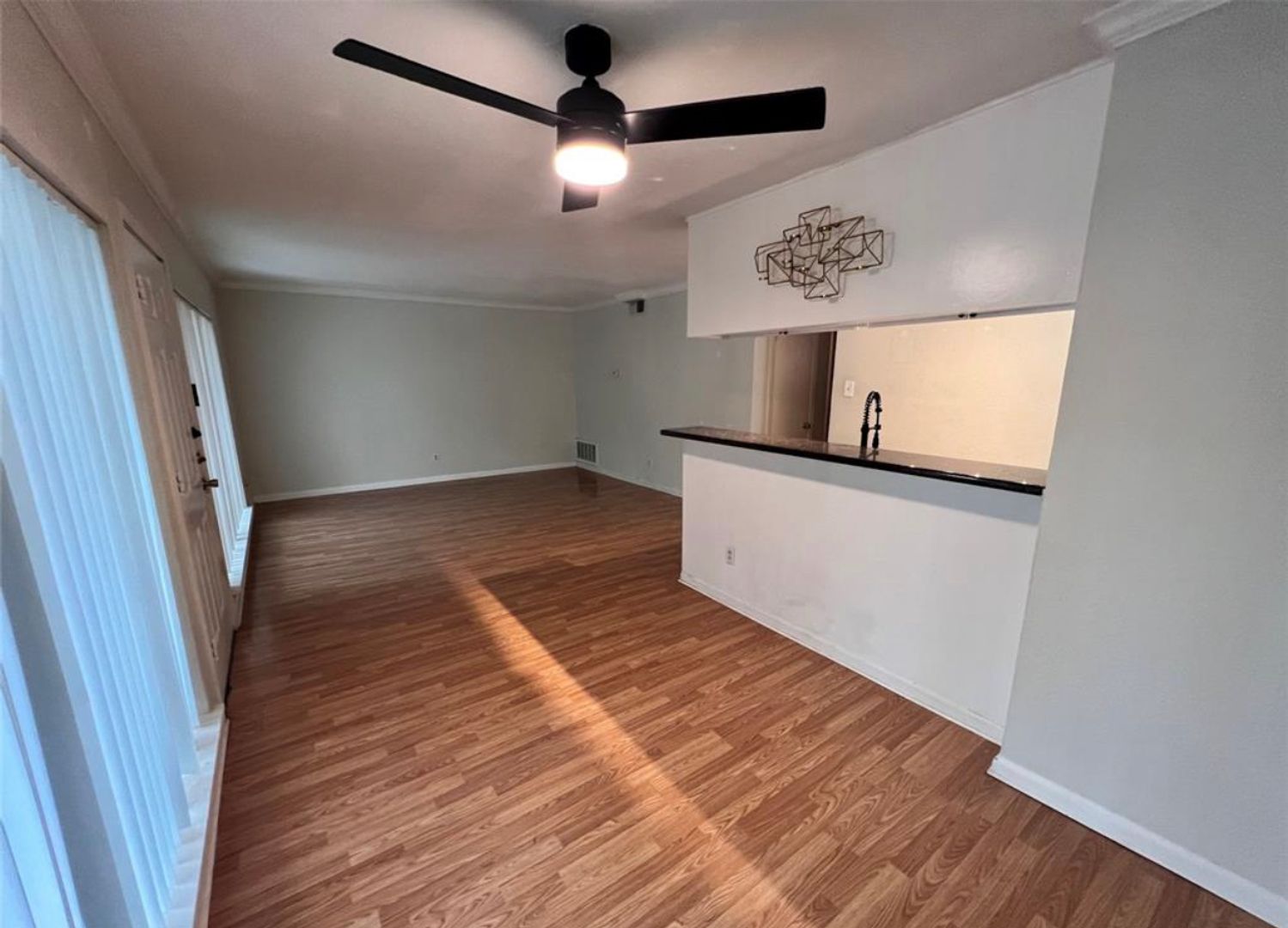 Houston Apartment: 1507 California St.