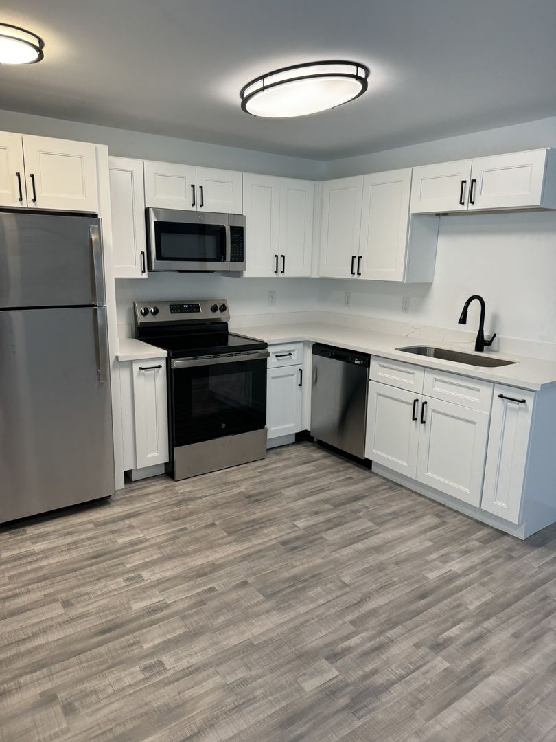 Houston Apartment: 239 Emerson St.