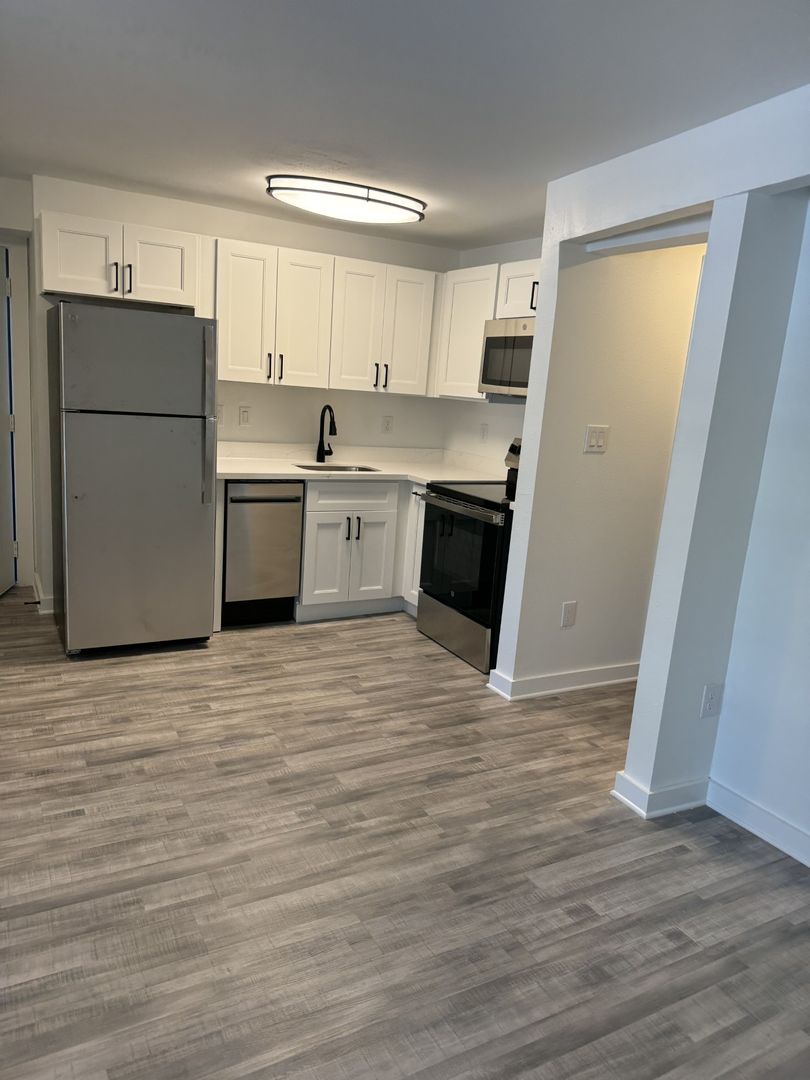 Houston Apartment: 239 Emerson St.