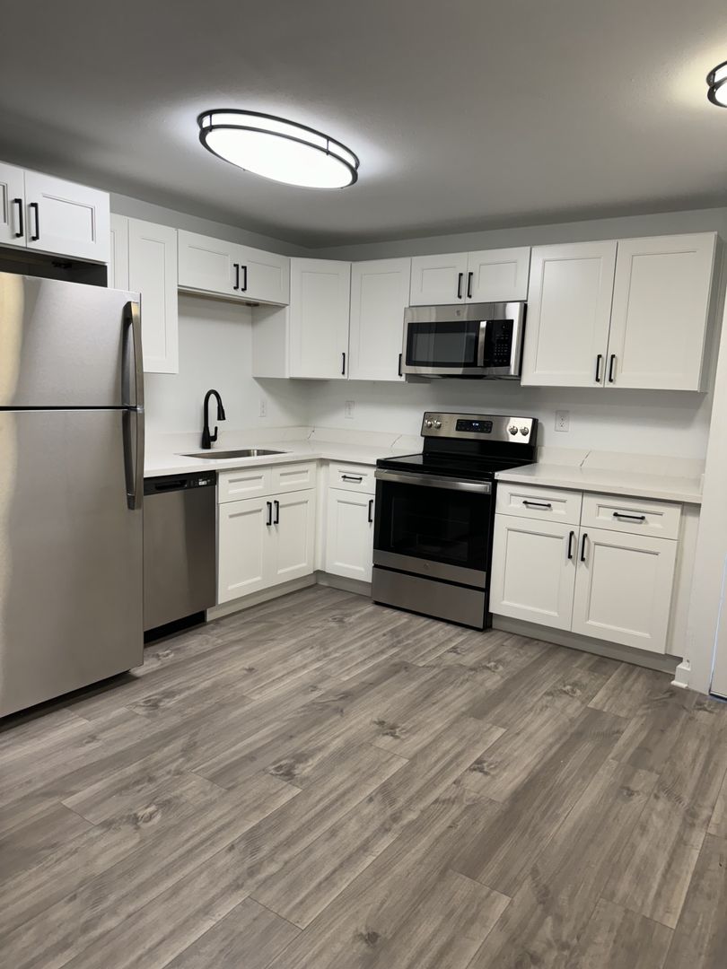 Houston Apartment: 239 Emerson St.