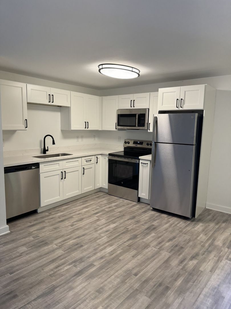 Houston Apartment: 239 Emerson St.