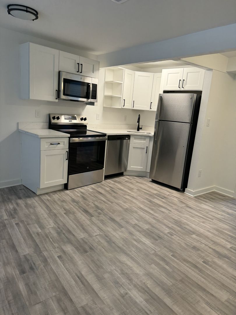 Houston Apartment: 239 Emerson St.