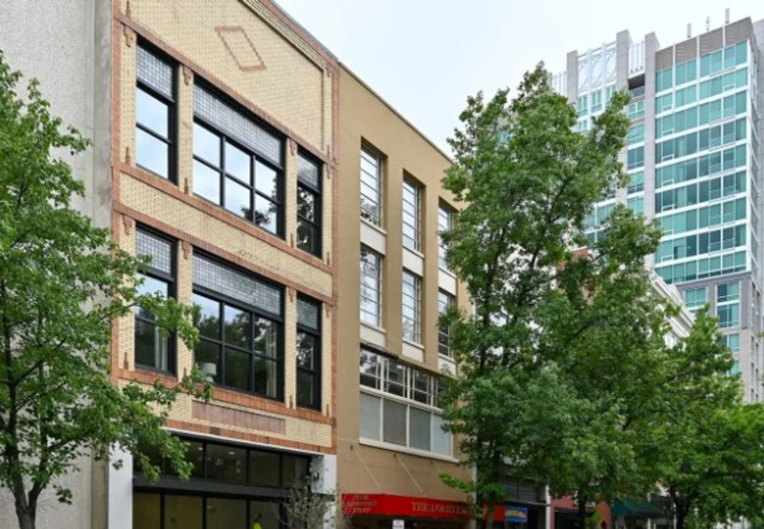 Asheville Apartment: 39 Patton Ave