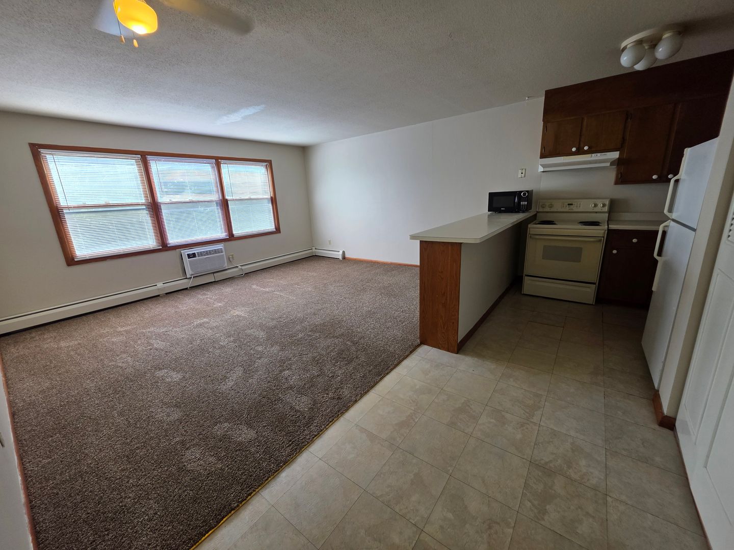 Minneapolis Apartment: 526 11th Avenue SE