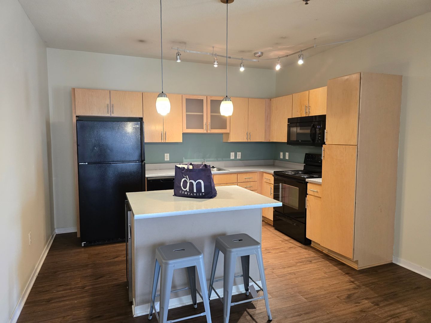 Minneapolis Apartment: 1000 University Ave SE
