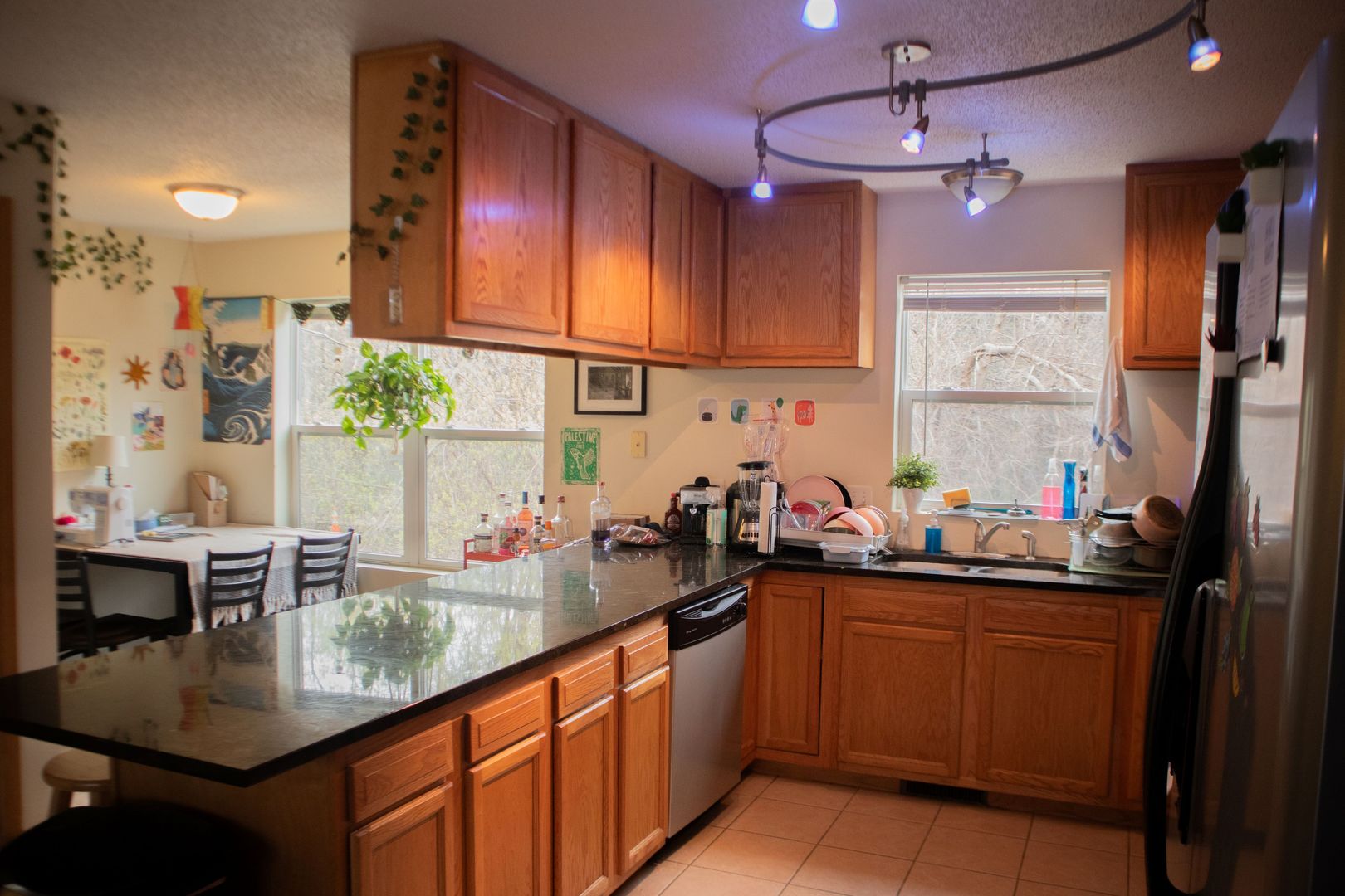 Minneapolis Apartment: 1217-1223 Yale Avenue