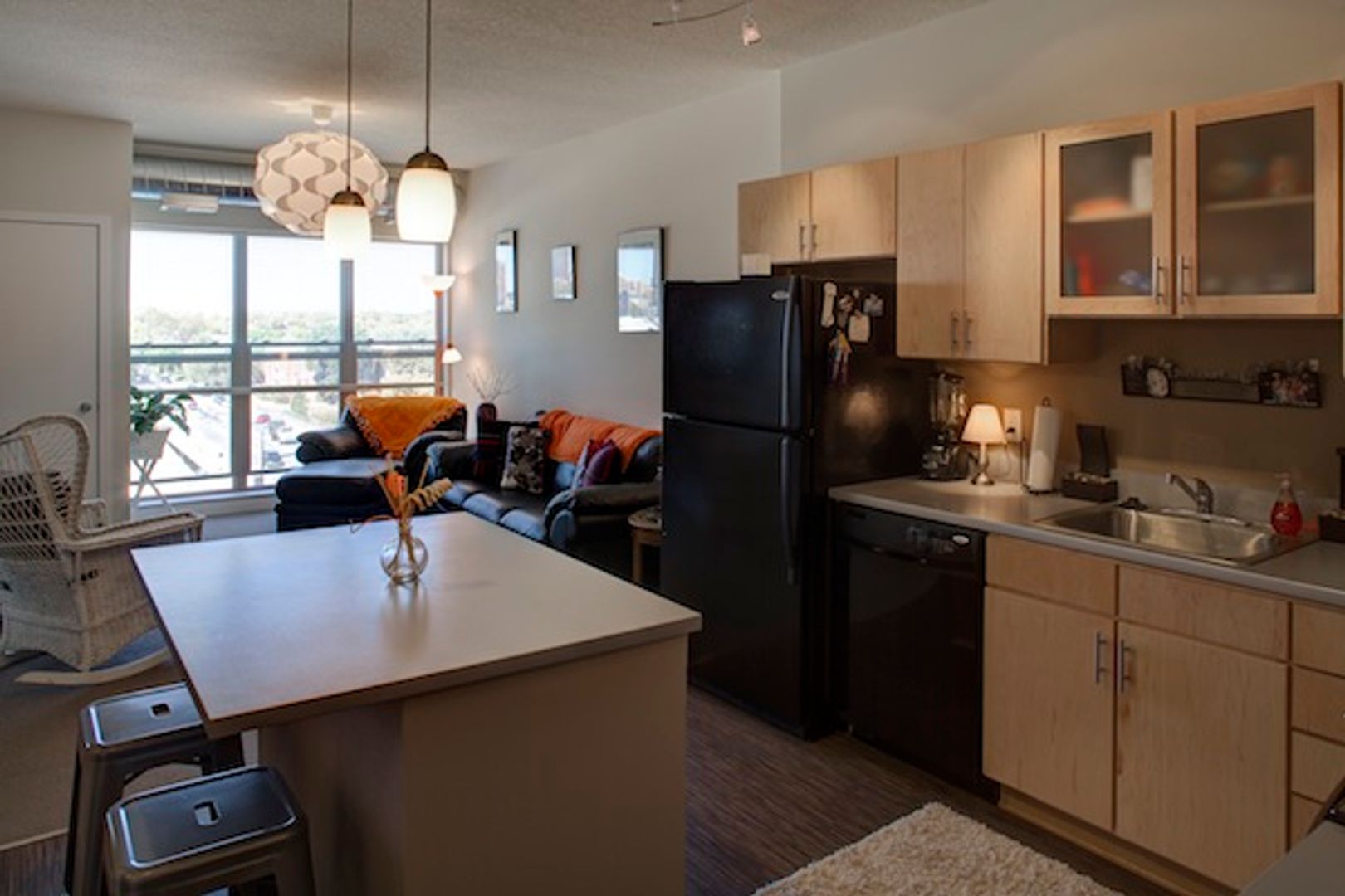 Minneapolis Apartment: 1000 University Ave SE