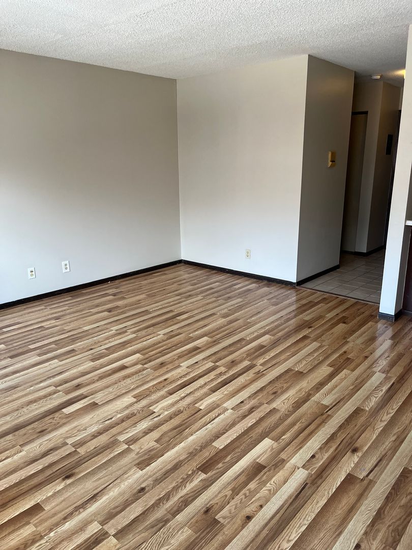 Minneapolis Apartment: 1314 West 28th Street